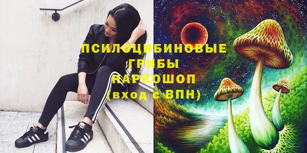 бутират Надым