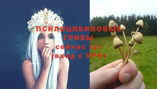 бутират Надым