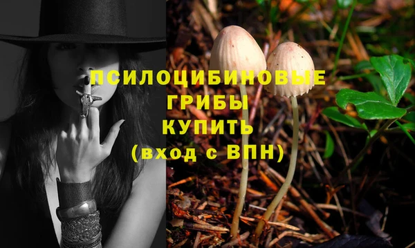 эйфоретик Навашино