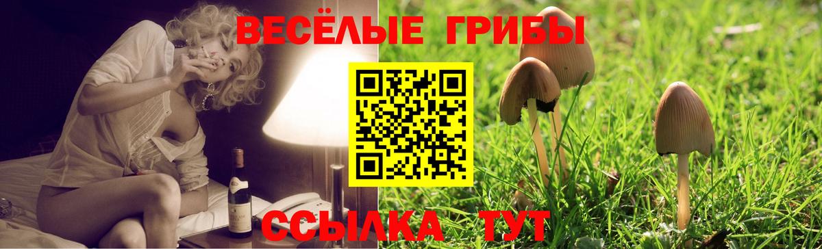 Галлюциногенные грибы мухоморы  Вход с VPN  Галлюциногенные грибы Magic Shrooms  Муравленко 