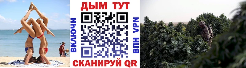 Бошки марихуана OG Kush  Муравленко 